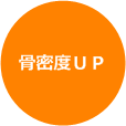 骨密度ＵＰ